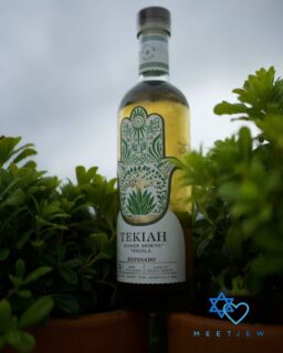 🚨Sababa Summer + Tekiah Tequila Giveaway! 

We’ve partnered up with @tekiahspirits to give away a bottle of their incredible tequila + 2 free tickets to our SoCal Sababa Summer Mansion Pool Party this Sunday, May 24th, in Long Beach, CA! 🔥

Here’s how to enter: 

1. Like this post
2. Follow @meetjewofficial @meetjewbios and @tekiahspirits 
3. Comment and tag a friend 
4. Share on your story for an extra chance at winning! 

The winner will be announced Saturday night after Shabbat! 

Yalla!